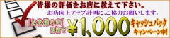 アンケート投稿キャッシュバックキャンペーン