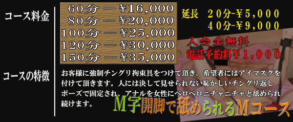 アナルをペロペロ無理やり舐められる！Ｍコース/料金/説明